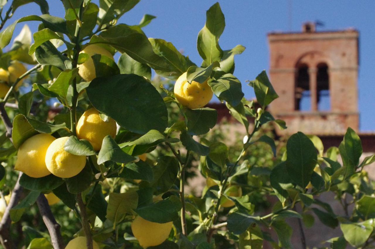 Fattoria Monastero Sant'Anna In Camprena Villa Pienza Kültér fotó