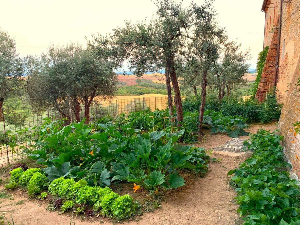 Fattoria Monastero Sant'Anna In Camprena Villa Pienza Kültér fotó